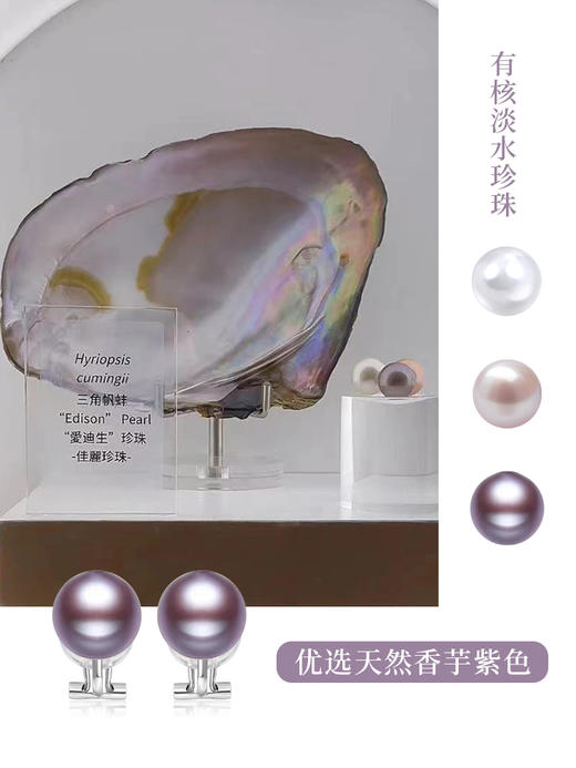 【天猫同款】悦甄日本无痛珍珠耳夹爱迪生珍珠耳夹 classic 商品图1
