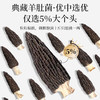 在菌屋精品大个头羊肚菌80g/罐 8cm以上大颗粒 个大肉厚鲜香丰腴 商品缩略图1