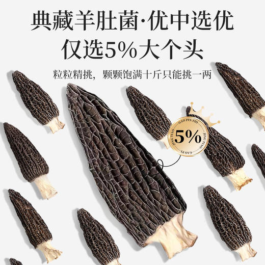 在菌屋精品大个头羊肚菌80g/罐 8cm以上大颗粒 个大肉厚鲜香丰腴 商品图1