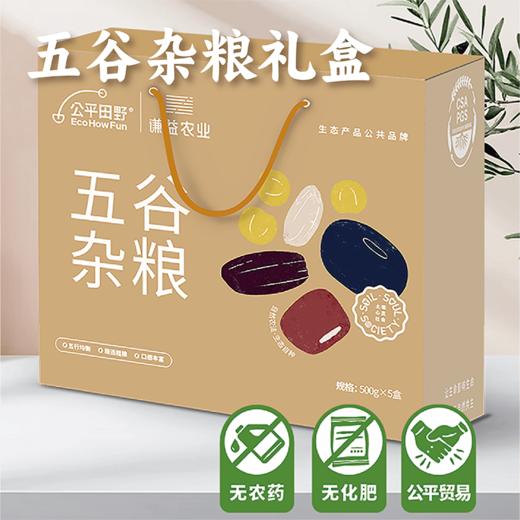 【谦益】【新品】谦益农业*公平田野联名款 五谷杂粮礼盒2500g  自然农法种植 健康五谷 送礼送健康 商品图0