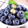 【分仓直发包邮】L25花香蓝莓125g*4盒（果径12mm+） 商品缩略图0