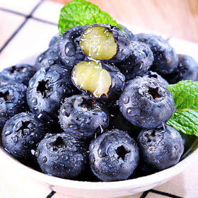 【分仓直发包邮】L25花香蓝莓125g*4盒（果径12mm+）