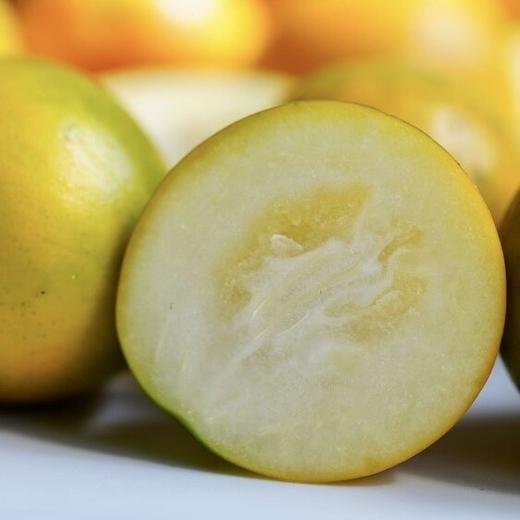 融安滑皮金桔二代 长在树上的“小糖炮”，从皮甜到心，水嫩香甜不涩口，连皮一起吃，水嫩香甜不涩 商品图4