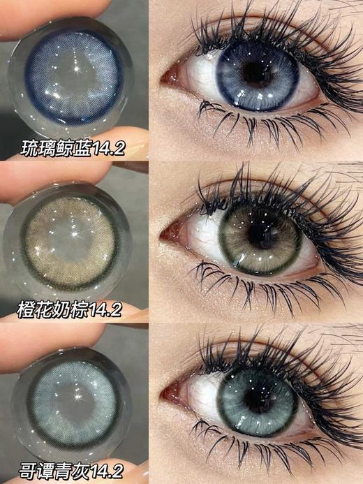 Bollycon 哥谭青灰/琉璃鲸蓝/橙花奶棕（半年抛型） 商品图0