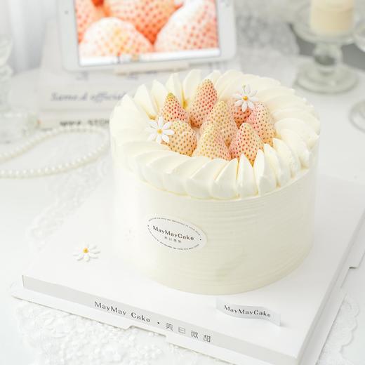 淡雪・春日和光【A4972】 商品图4