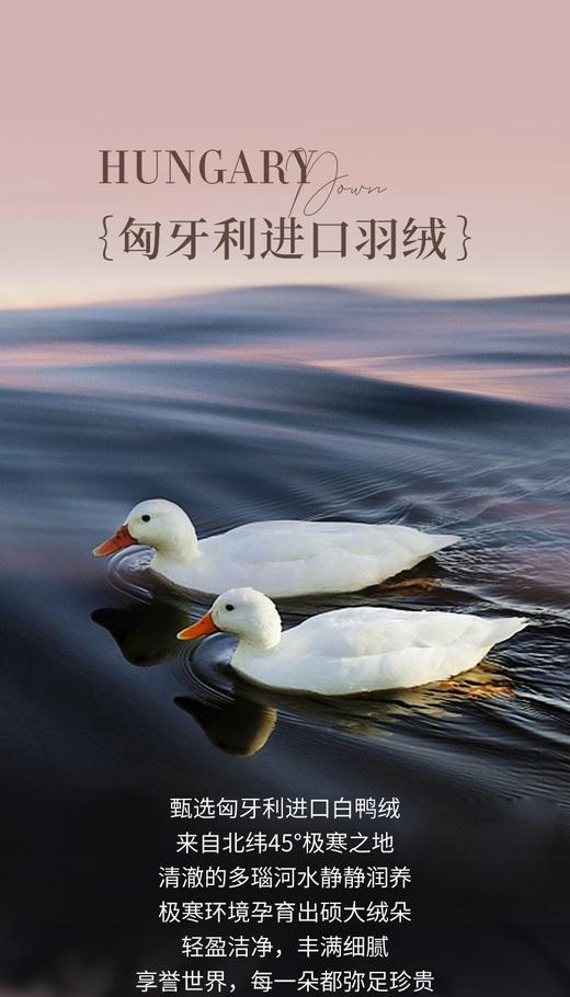 富安娜   匈牙利进口羽绒冬厚被  杰诺斯克 商品图2