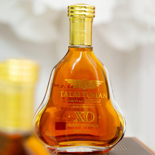 【超值两瓶装】塔莱图曼·欧陆XO白兰地 酒感丰富 法国原产进口 700ml/瓶 商品图3