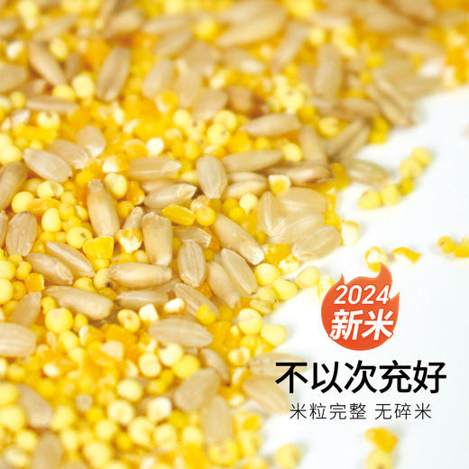 有机黄五谷东北杂粮米粗粮粥饭早餐营养杂粮粥食材袋装350g 商品图2