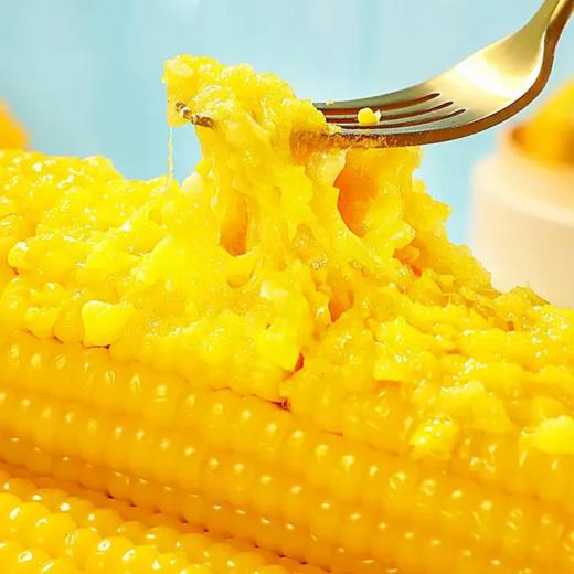 秋天的味道有机糯黄玉米10穗礼盒 商品图2