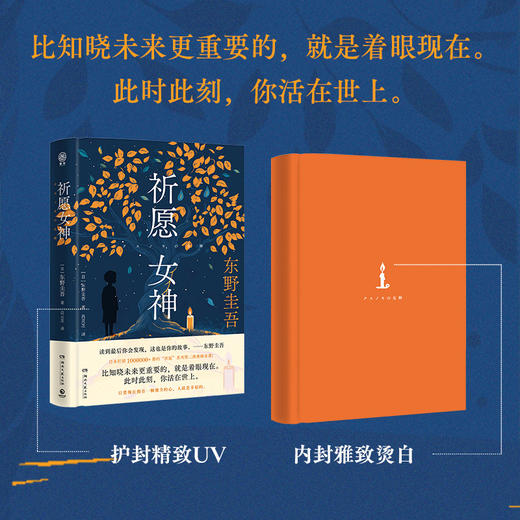 《祈愿女神》  东野圭吾 重磅新书 “祈愿”系列第二弹来袭 商品图2