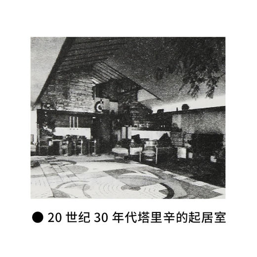 企鹅人生 弗兰克 劳埃德 赖特 阿达·路易丝·赫克斯塔布尔 著 商品图4