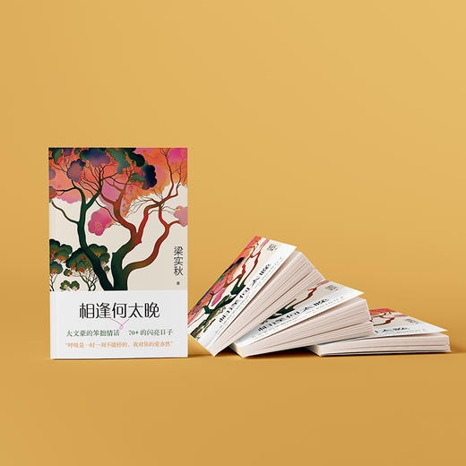 相逢何太晚 | 大文豪梁实秋的笨拙情话，70+的闪亮日子；不仅有“雅舍体”，还有“恋爱脑” 商品图2