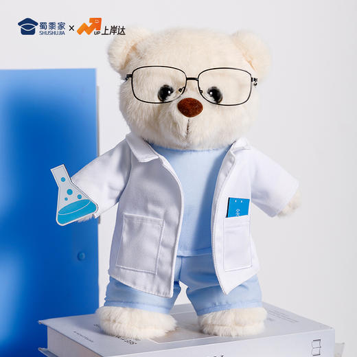 【实付满199送钥匙扣】【实验员站姿熊】可定制创意毛绒职业小熊公仔儿童玩具服装可脱送礼礼物 商品图7
