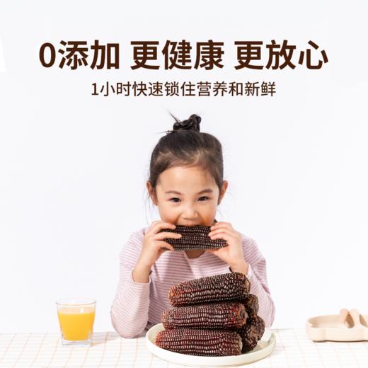 秋天的味道有机糯黑玉米10穗礼盒 商品图3