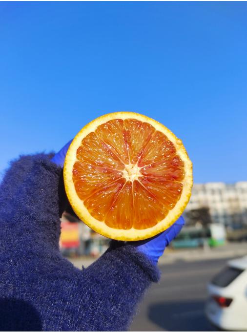 玫瑰血橙礼盒 商品图6