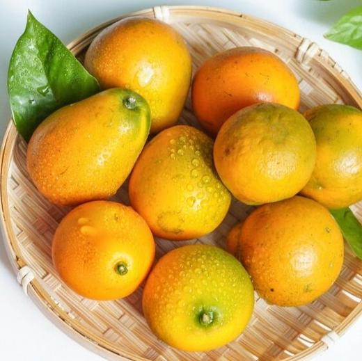 【顺丰发货！】融安脆蜜金柑三代 皮脆肉嫩，多汁纯甜；直接带皮吃，甜似蜜糖；果皮薄，果肉质地柔软，口感鲜美 维C满满 商品图8