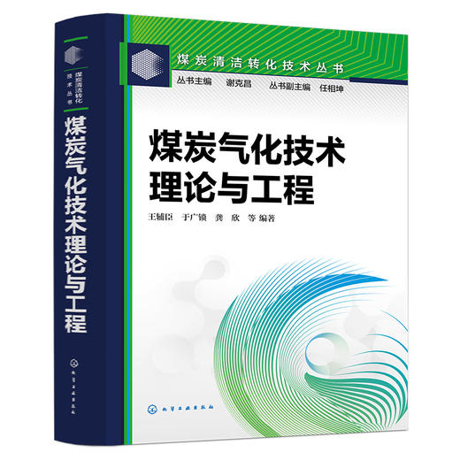煤炭气化技术：理论与工程 商品图1