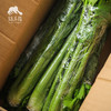 生态西芹 | 合作生产*Ecological celery| Partner Production 商品缩略图3