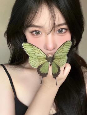 Bollycon 牛油果派（半年抛型）