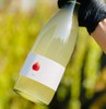 田园酿造水果起泡酒|  葡萄本身的果香得到了非常完美的保留，酸甜度非常平衡，浓郁的花果香气特上头，立即就想着分享给佳人们，在即将道来的春节家宴上，朋友聚会，礼品馈赠，绝对是你拿得出手的一款很棒的产品~ 商品缩略图2