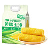 十月稻田黄糯玉米3.52斤 商品缩略图0