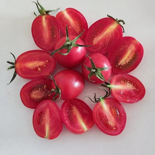 【分仓直发包邮】广西圣女果系列（粉果）1.25斤/盒*4盒（礼盒装） 商品图1