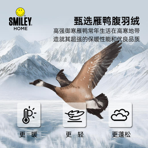 【云优选】SMILEY轻暖羽绒被芯秋冬季加厚纤维被子双人轻盈保暖高级感可水洗 商品图2