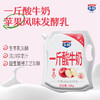一斤酸口味酸奶3袋组合装500g*3袋（猕猴桃+青提+苹果） 商品缩略图1