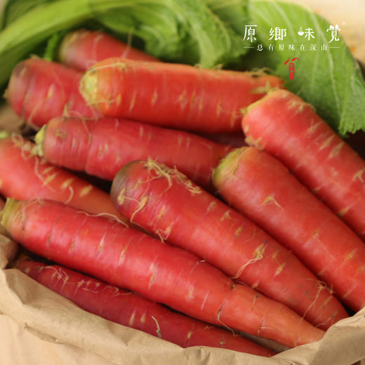 生态老品种胡萝卜（农场直发-顺丰包邮）｜3斤/5斤箱，来自成都郫都区基地【原乡农场，自产自销】 商品图2