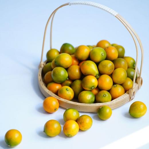 融安滑皮金桔二代 长在树上的“小糖炮”，从皮甜到心，水嫩香甜不涩口，连皮一起吃，水嫩香甜不涩 商品图0