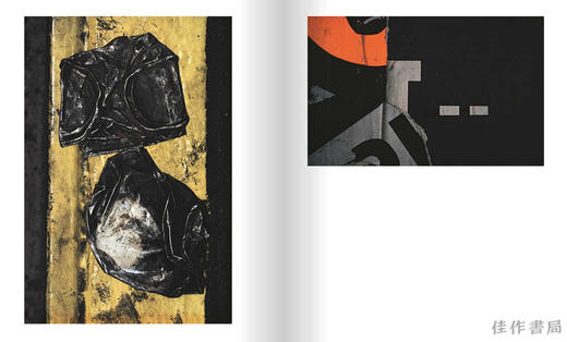 Ernst Haas: Abstract / 恩斯特·哈斯：抽象 商品图2