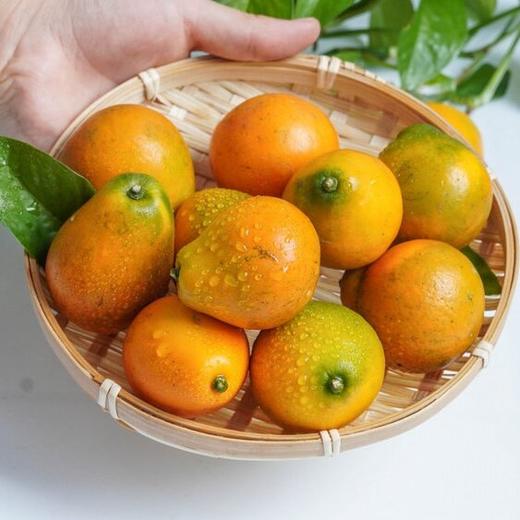【顺丰发货！】融安脆蜜金柑三代 皮脆肉嫩，多汁纯甜；直接带皮吃，甜似蜜糖；果皮薄，果肉质地柔软，口感鲜美 维C满满 商品图4