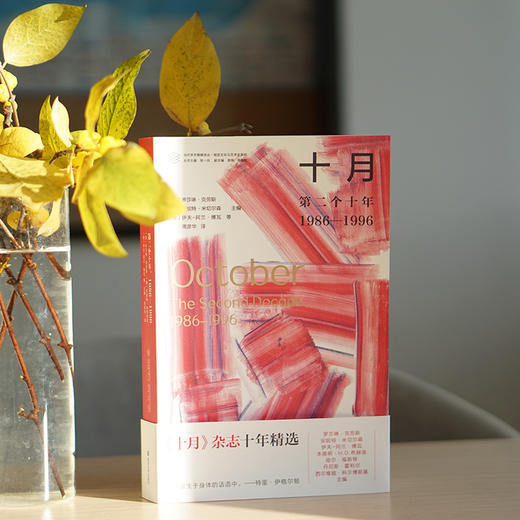 十月：第二个十年，1986—1996//当代学术棱镜译丛·视觉文化与艺术史系列 商品图1