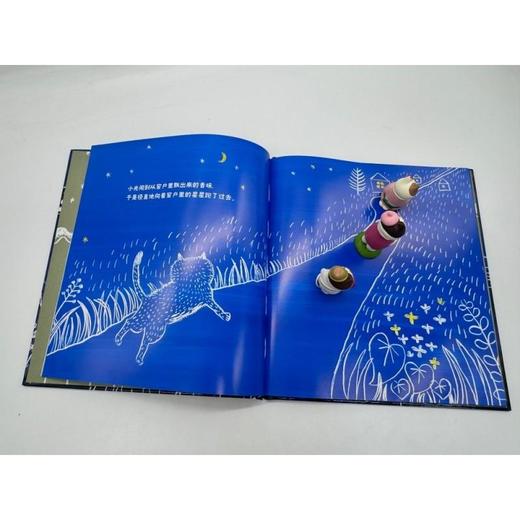 小猫小光和窗户里的星星 商品图3