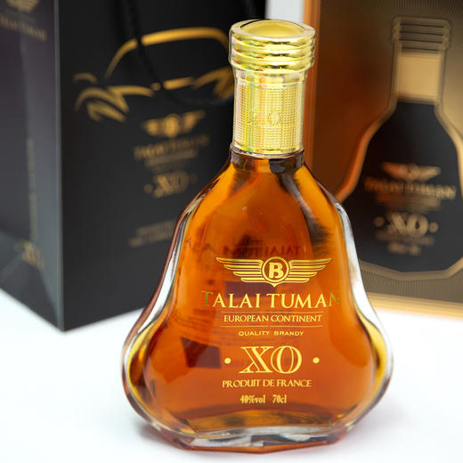 【超值两瓶装】塔莱图曼·欧陆XO白兰地 酒感丰富 法国原产进口 700ml/瓶 商品图0