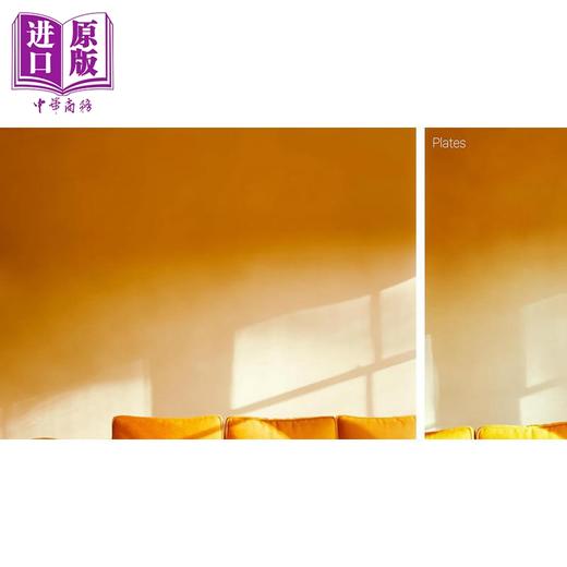 预售 【中商原版】Uta Barth 进口艺术 乌塔巴尔特摄影集 商品图3