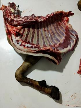 黑山羊肉前腿肉，一腿6斤，多退少补