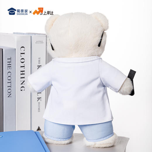 【实付满199送钥匙扣】【实验员站姿熊】可定制创意毛绒职业小熊公仔儿童玩具服装可脱送礼礼物 商品图9