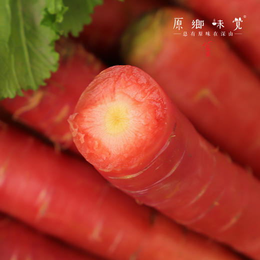 生态老品种胡萝卜（农场直发-顺丰包邮）｜3斤/5斤箱，来自成都郫都区基地【原乡农场，自产自销】 商品图1