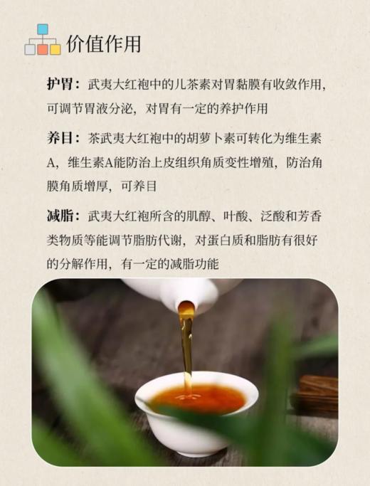 武夷岩茶 | 岩骨花香 乌龙经典【无俩 大红袍】 商品图8