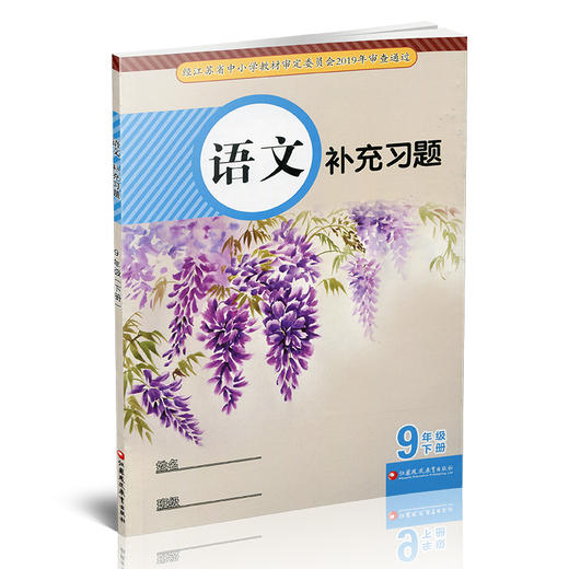 2025年春 语文补充习题 9下 九年级下册 人教版  初中 中学同步教辅教材配套用书 江苏凤凰教育出版社 官网正版XGX 商品图2