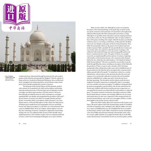 预售 【中商原版】Persian Cultures of Power and the Entanglement of the Afro-Eurasian World 进口艺术 波斯权力文化 商品图3