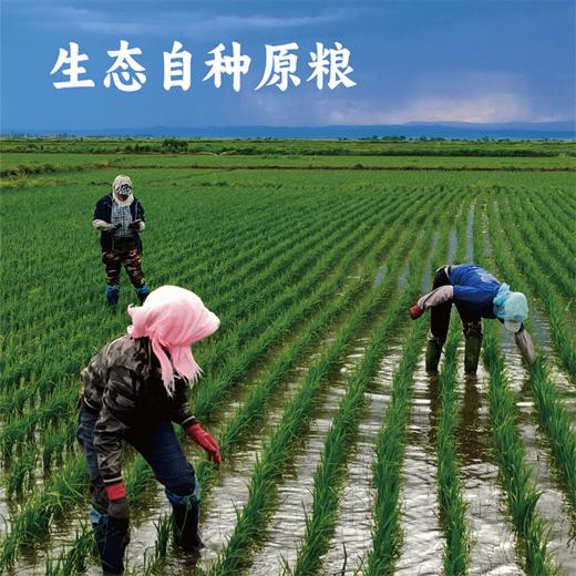 【谦益】【新品】谦益农业*公平田野联名款 五谷杂粮礼盒2500g  自然农法种植 健康五谷 送礼送健康 商品图4