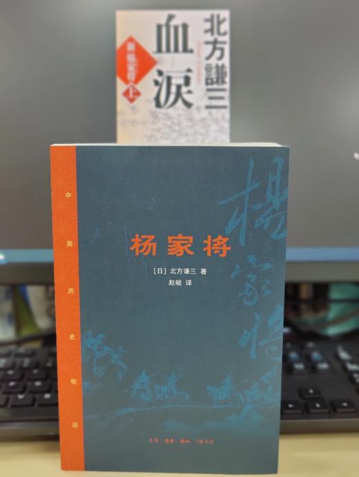 杨家将 中国历史长篇小说  文学 将门故事 商品图1