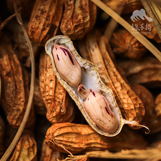 生态七彩干花生（带壳）| 合作生产* Ecological colorful peanut | Partner Production 商品图3