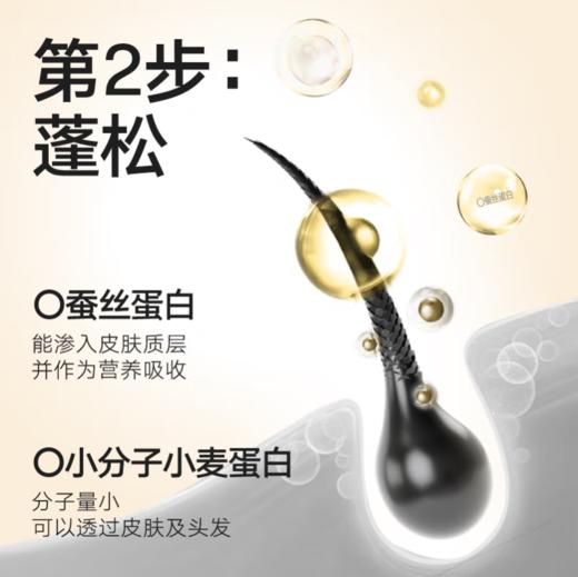 理然香氛蓬松洗发水（杜松子香型）400g-0797，买理然任意洗沐产品2瓶加送理然清爽净肤洁面乳150g 商品图3