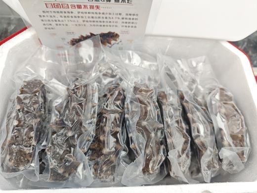 【年货节】俄罗斯海参干货萨哈林 鲜炖+鲜发  礼盒装 俄罗斯进口海参 商品图2
