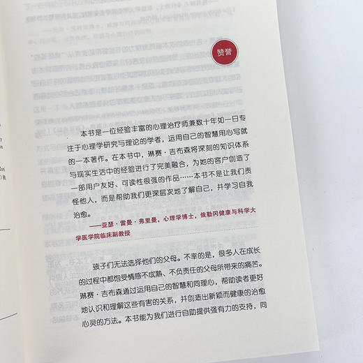 【美】琳赛·吉布森《不成熟的父母》 商品图3