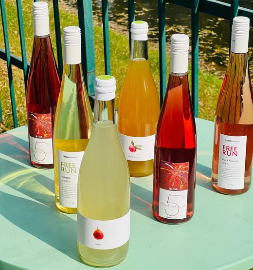 田园酿造水果起泡酒|  葡萄本身的果香得到了非常完美的保留，酸甜度非常平衡，浓郁的花果香气特上头，立即就想着分享给佳人们，在即将道来的春节家宴上，朋友聚会，礼品馈赠，绝对是你拿得出手的一款很棒的产品~ 商品图0