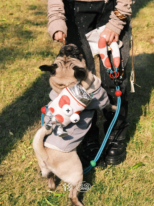 【18周边商店】宠物易拉罐背包（无牵引绳）/宠物牵引绳 商品图6